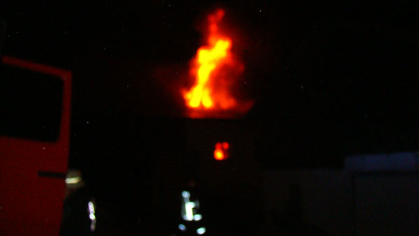 DSC07737